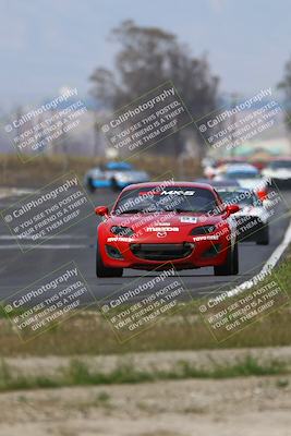media/Mar-16-2025-CalClub SCCA (Sun) [[e72803ec8c]]/Group 2/Race (Turn 9)/